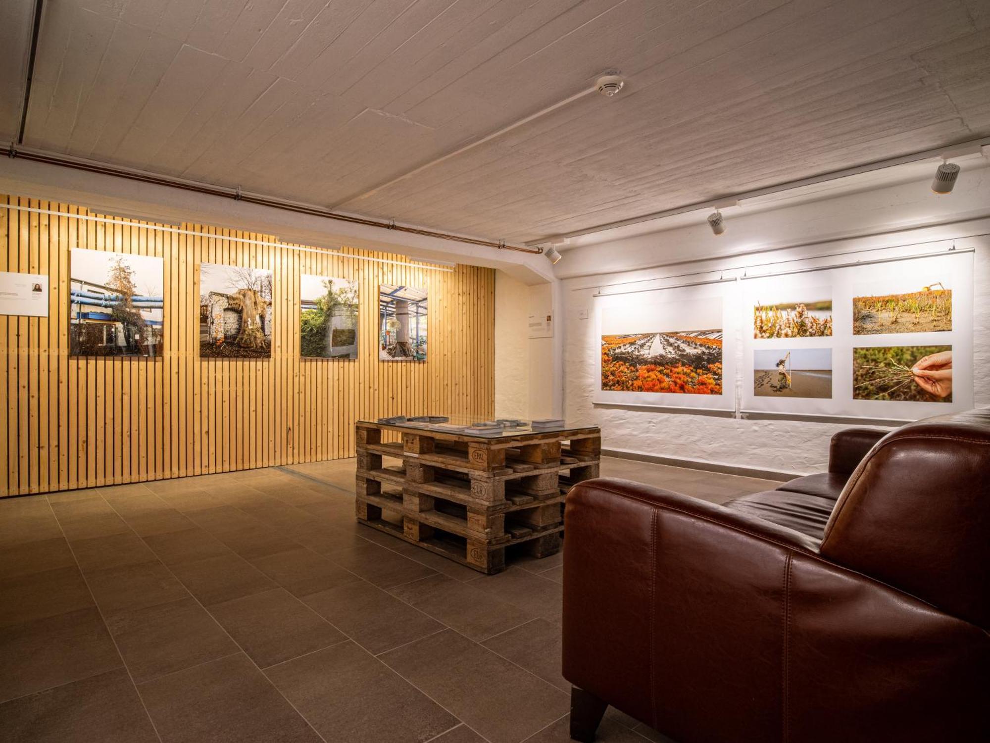 Hotel Stone Zingst Zewnętrze zdjęcie